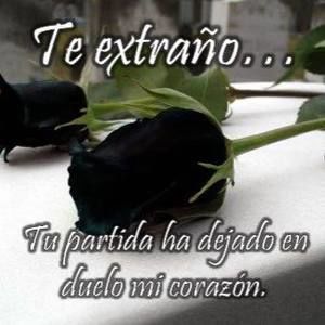 Meet your Posher, Noemi sulema